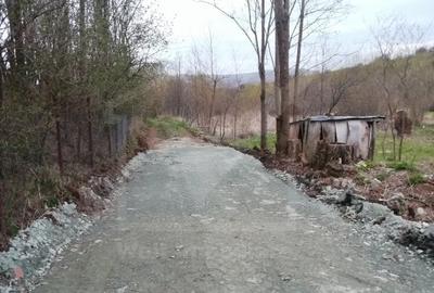Teren Construcții intravilan de 1000 mp, în Ciurila - 4