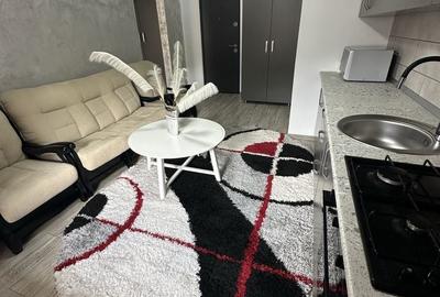 Garsonieră în Valea Moșneagului - 3