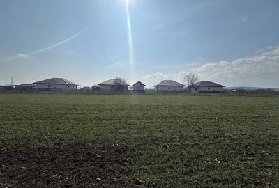 Teren Construcții intravilan de 2000 mp, în Central - 4