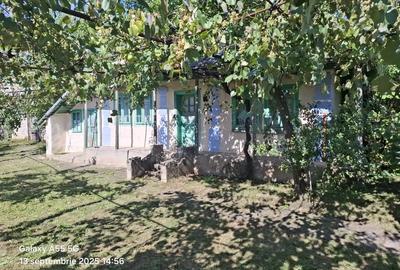 Casă cu 3 camere în Siliștea - 4