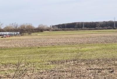 Teren de 4000 mp, în Jilava - 2