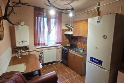 Apartament cu 2 camere semidecomandat în Luncă - 4