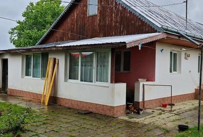 Teren de 3000 mp, în Plăieșu - 6