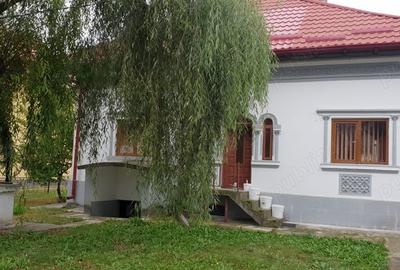 Casă cu 3 camere în Valea Brazilor - 3