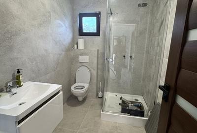 Casă cu 3 camere în Brebu