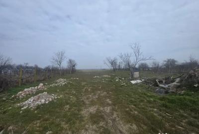 Teren de 5000 mp, în Rovine - 2