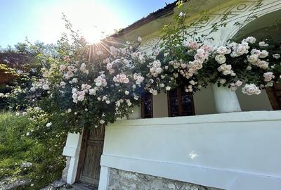 Casă cu 3 camere în Câmpulung Muscel - 1