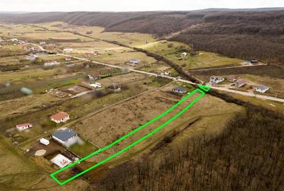Teren intravilan de 3444 mp, în Betfia - 3