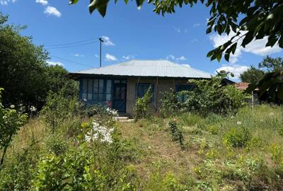 Casă cu 4 camere în Târnava - 3