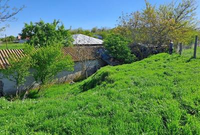 Teren de 1000 mp, în Sultana - 9