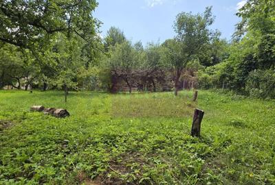 Casă individuală cu 5 camere cu Canalizare în Provița de Sus - 29