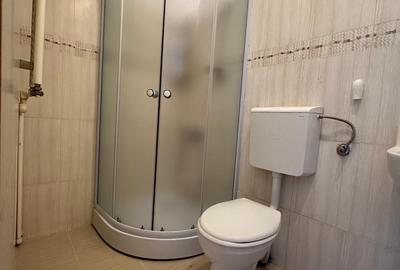 Apartament cu 2 camere decomandat, mobilat în 13 Decembrie - 6