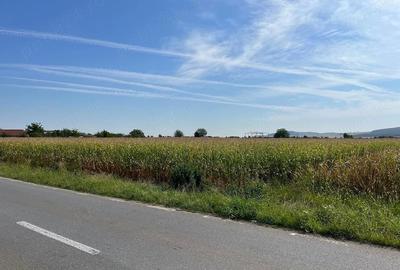 Teren de 6950 mp, în Central