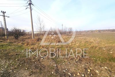 Teren Construcții intravilan de 12000 mp, în Rovinari - 9