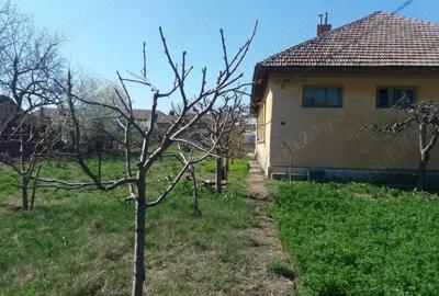 Casă cu 6 camere în Maglavit - 2