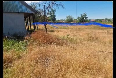 Casă cu Teren 3000 Mp în Dăeni - 5
