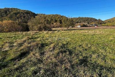 Teren de 2754 mp, în Bocșa - 2