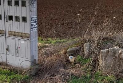 Teren de 370 mp, în Berceni