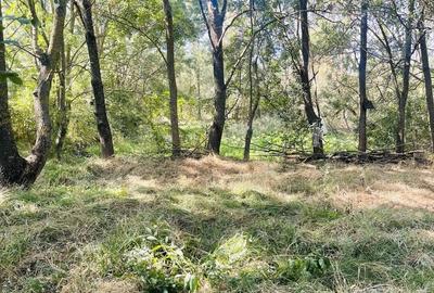Teren de 5000 mp, în Valea Părului - 5