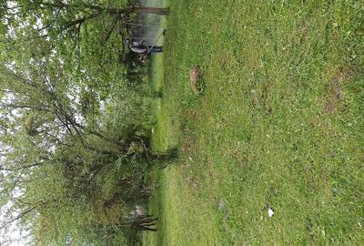 Teren de 1860 mp, în Valea Unghiului - 2