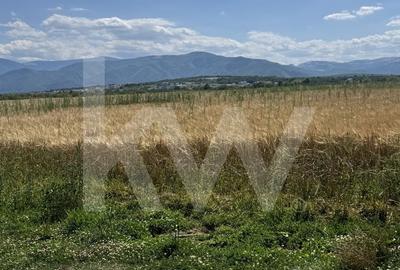 Teren de 720 mp, în Central