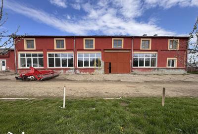 Spațiu comercial, de 600 mp, în Dumbrăveni - 8