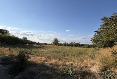Teren de 5000 mp, în Leu