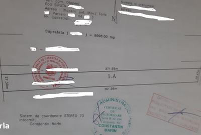 Spațiu comercial, în Central
