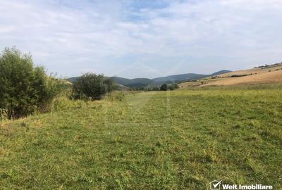 Teren agricol extravilan de 21500 mp, în Valea Agrișului - 7