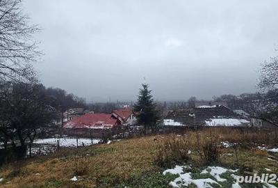 Casă cu 2 camere în Central