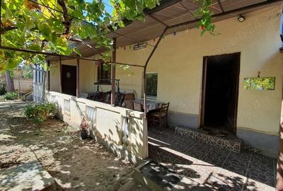 Casă cu 3 camere cu Teren 2871 Mp în Giubega - 3