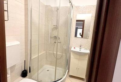 Apartament cu 4 camere semidecomandat, mobilat în Drumul Taberei - 8