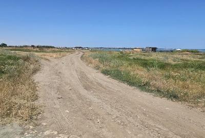 Spațiu comercial, în Nord
