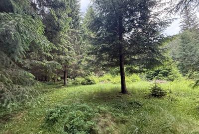 Teren agricol intravilan de 2500 mp, în Comandău - 1