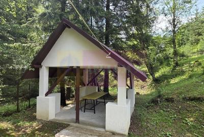 Casă individuală cu 7 camere cu Canalizare în Valea Doftanei - 44