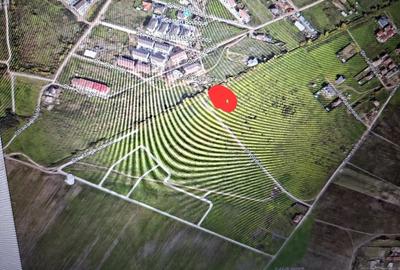 Teren de 1502 mp, în Giroc