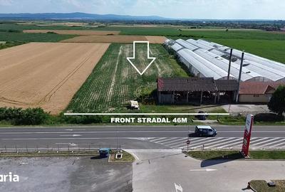 Teren de 9482 mp, în Medieșu Aurit - 4