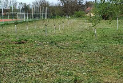 Casă cu 2 camere în Belotinț - 1