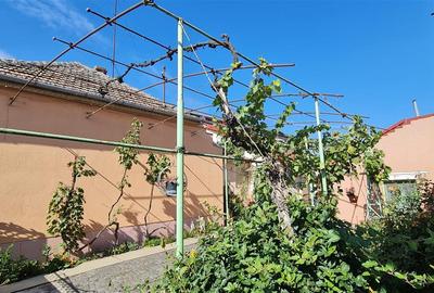 Casă individuală cu 8 camere cu Teren 1188 Mp în Micălaca - 2