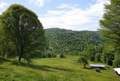 Teren extravilan de 2746 mp, în Vădurele (Alexandru cel Bun)