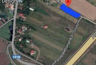 Spațiu comercial, în Gruiu - 3