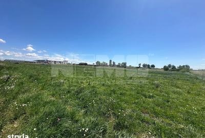 Teren de 2600 mp, în Horodnic - 2