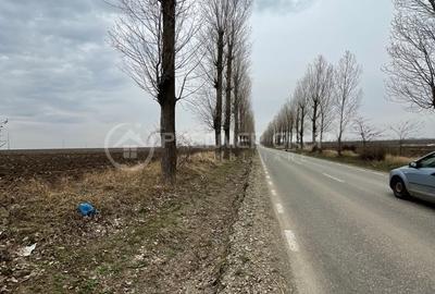 Teren Construcții extravilan de 20000 mp, în Miroslava - 6