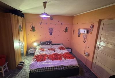 Casă cu 2 camere în Copaciu - 2