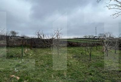 Casă cu 3 camere cu Teren 5810 Mp în Central - 3