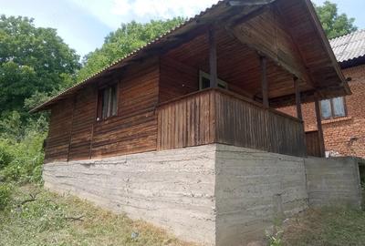 Casă cu Teren 800 Mp în Domnești - 9