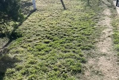 Casă cu 2 camere în Pogana - 10