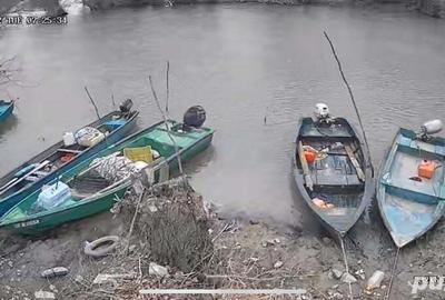 Teren de 8800 mp, în Pătlăgeanca - 4