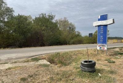 Teren de 4200 mp, în Gorgota - 8