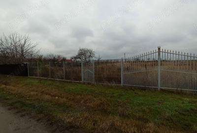 Teren de 1471 mp, în Glogoveanu - 8